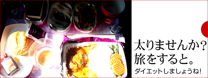 @H̉摜